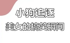 张根硕深圳演唱会